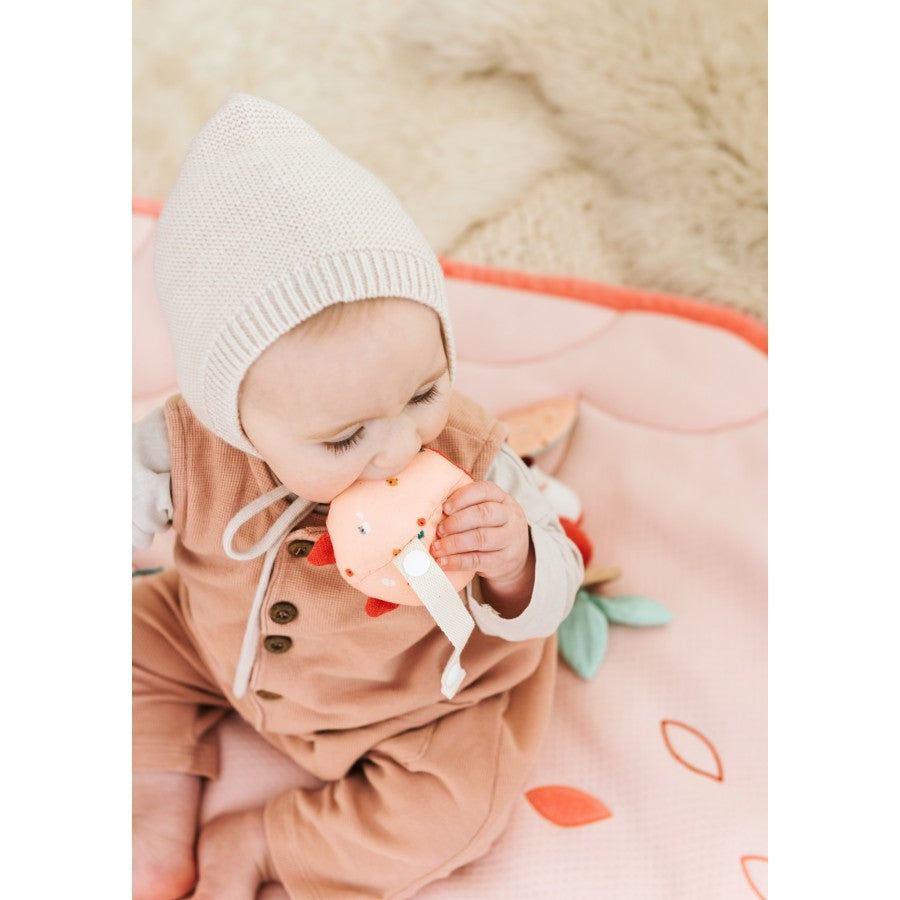 Lilliputiens babygym bos 0 mnd+
