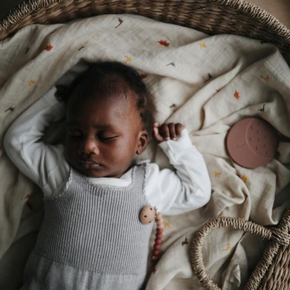 Mushie hydrofiele doek dino