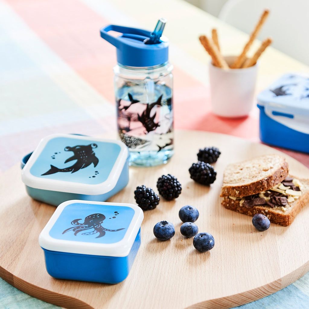 Petit Monkey trommel set Sea animals 12 x 12 cm PP + PE
