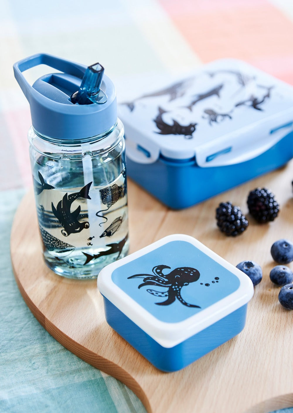Petit Monkey trommel set Sea animals 12 x 12 cm