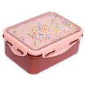 Petit Monkey broodtrommel popsicles desert rose