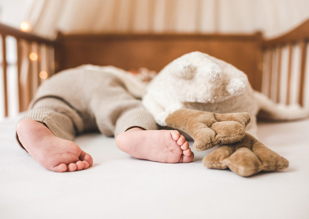 Senger Naturwelt warmte knuffel gans wit groot 2 mnd+