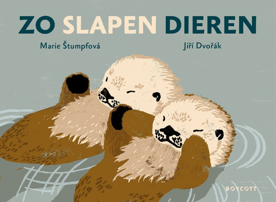 Zo slapen dieren 4 jr+