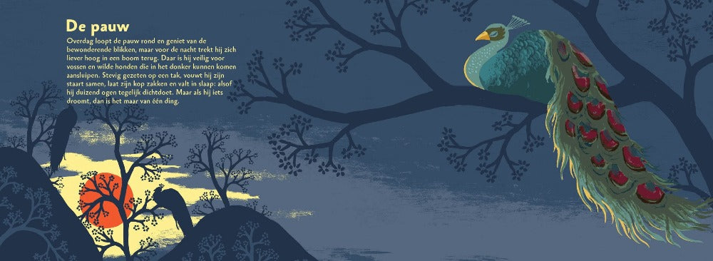 Zo slapen dieren 4 jr+