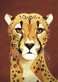 Dieter Braun poster Cheetah bruin 50 x 70 cm