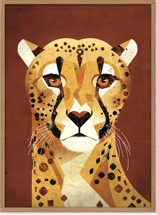 Dieter Braun poster Cheetah bruin 50 x 70 cm
