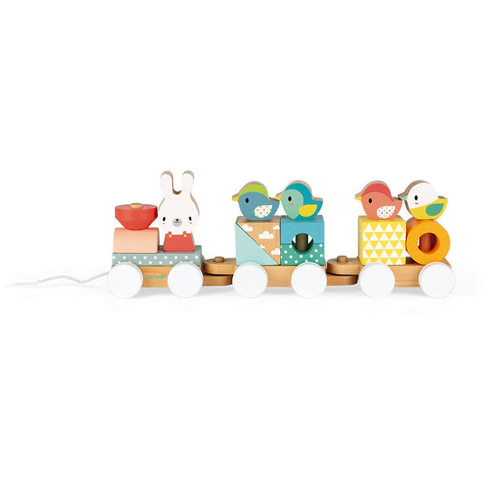 JANOD trein pure 1 jr+