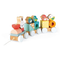 JANOD trein pure 1 jr+