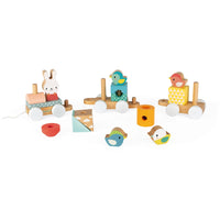 JANOD trein pure 1 jr+