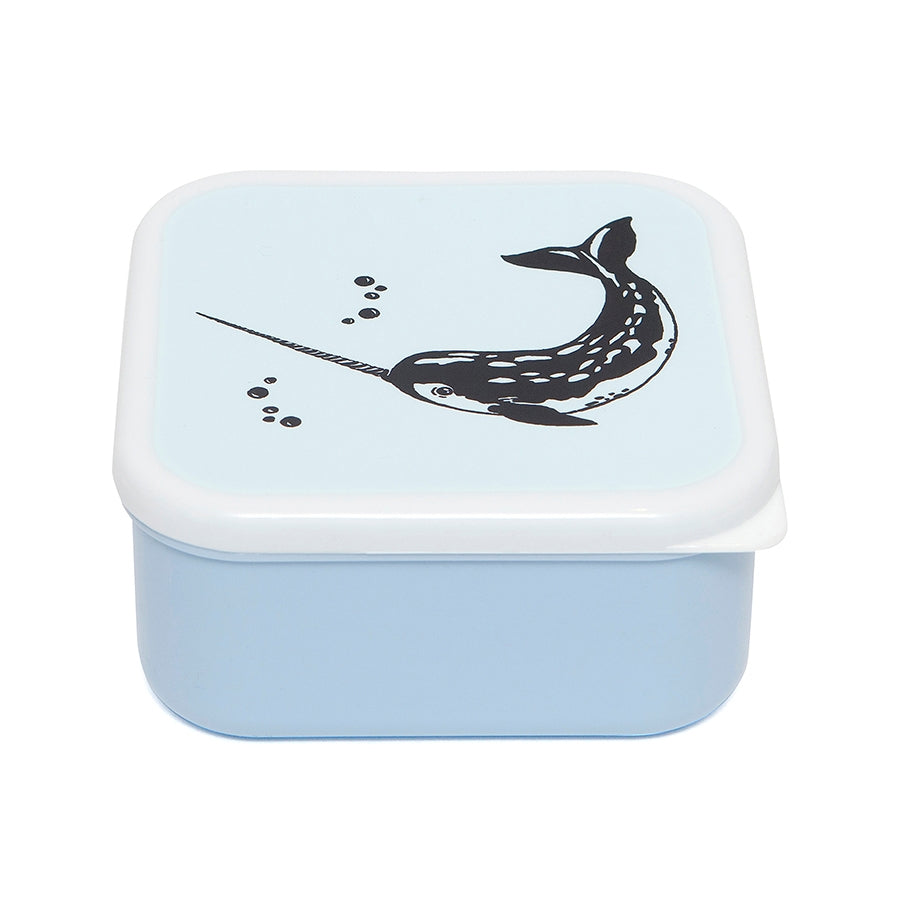 Petit Monkey trommel set Sea animals 12 x 12 cm kopen
