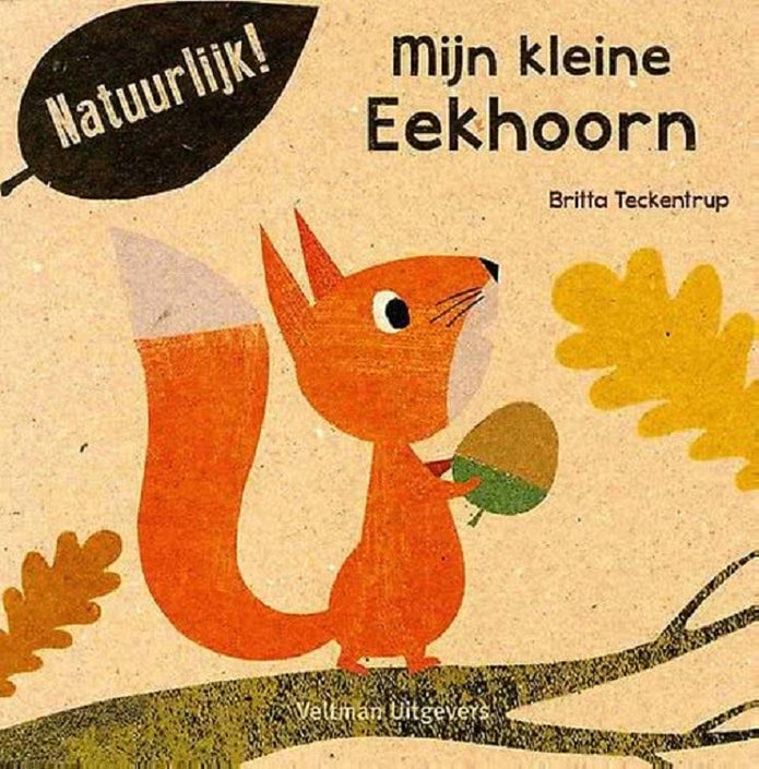 Mijn kleine eekhoorn 18 mnd+