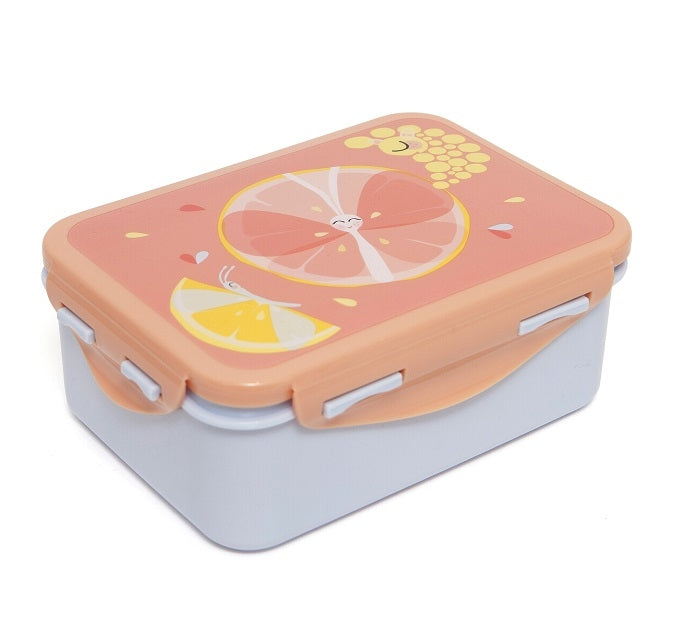Petit Monkey lunchbox Flies