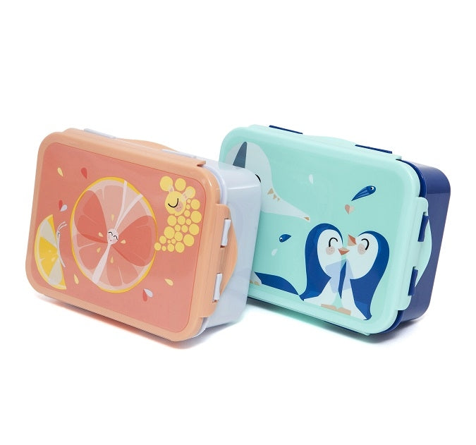 Petit Monkey lunchbox Flies