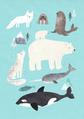 Petit Monkey ansichtkaart Artic animals