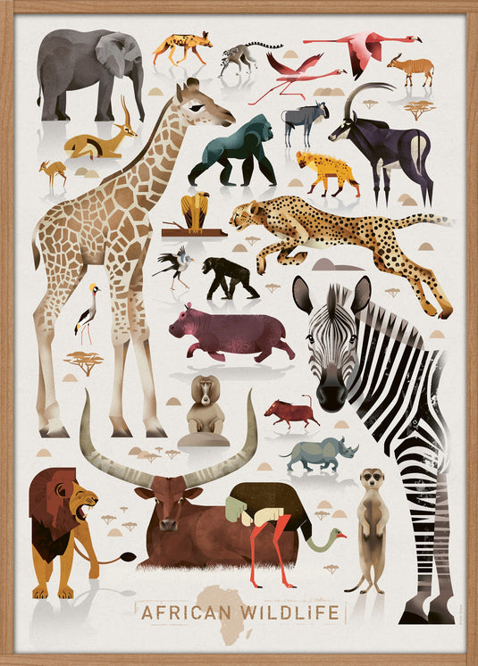 Dieter Braun poster African Wildlife 50 x 70 cm