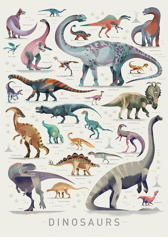 Dieter Braun poster Dinosaurus 50 x 70 cm