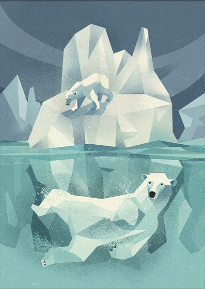 Dieter Braun poster Polar bears 50 x 70 cm