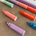 Regenboog viltstift